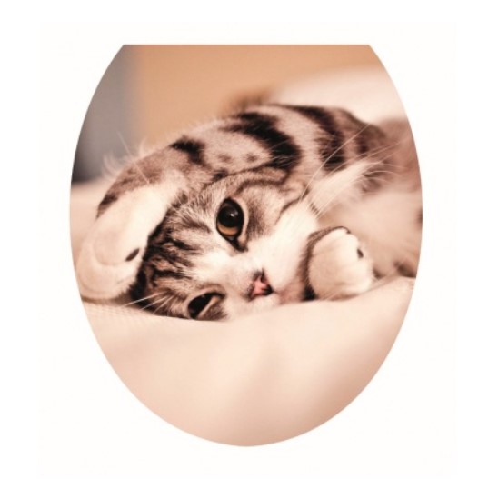 Сиденье для унитаза КОТ В35 Мягкое