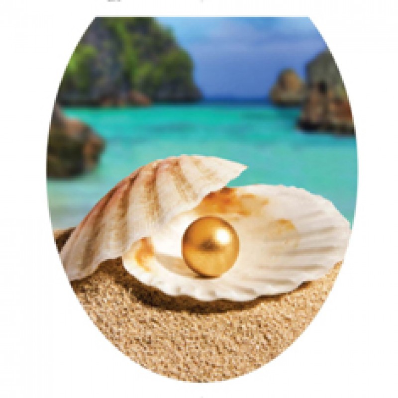 Сиденье для унитаза Жемчужина в раковине В26 Мягкое